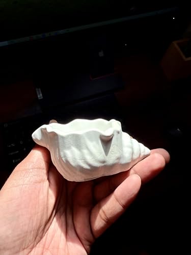 Image of TREETRUNK Handmade Minimalist Conch Shell | Jewellery /Makeup /Table Organizer l Home Decor l Candle Tray | Multipurpose (White)