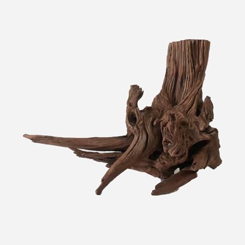 View 2