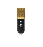 GAOHAILONG Micrófono USB Sistema De Moda Grande De Diafragma De Alta Fidelidad Micrófono Profesional Streaming Media Game Podcast Vocal Grabación De Reverberación Micrófono Condensador