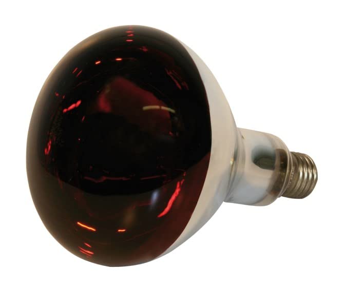 Vetro temprato. Kerbl - Lampada a Raggi infrarossi da 250 W, in Vetro temperato, Colore: Rosso, 22245