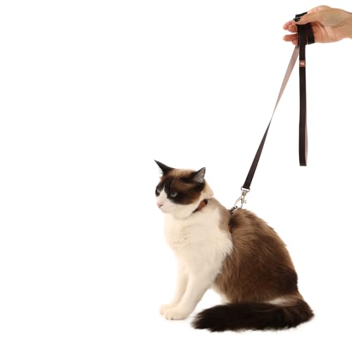 Conjunto Peitoral H De Gato U Preto-Caqui