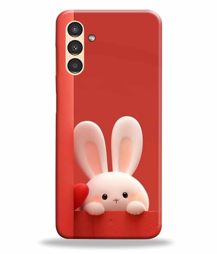 Image of Printed Hard Back Case Cover & Compatible for Samsung Galaxy M14 5G | Samsung M14 5G | Rabbit Painting Art (Multicolor) - D1202