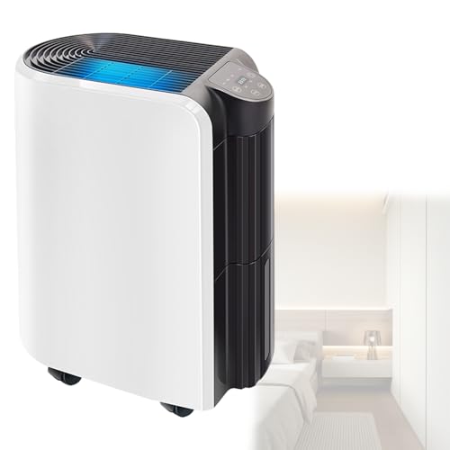 RkgSinuo Deshumidificador De 20 L/30 L/60 L/DíA para El Hogar Y Habitaciones Grandes, DepóSito De 2,2 L, Humedad Relativa Ajustable del 10% Al 95%, para SóTanos, Dormitorios Y Villas MS-920B