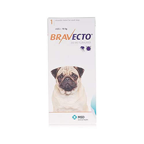 MSD Animal Health Bravecto Chewable Flea & Tick Infestation Tablet for Small Dogs (4.5-10kg) 250mg x 1- Prescription Required