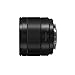 Panasonic LUMIX Micro Four Thirds Camera Lens, Leica DG SUMMILUX 9mm F1.7 ASPH, Large Aperture, Video Performance, H-X09