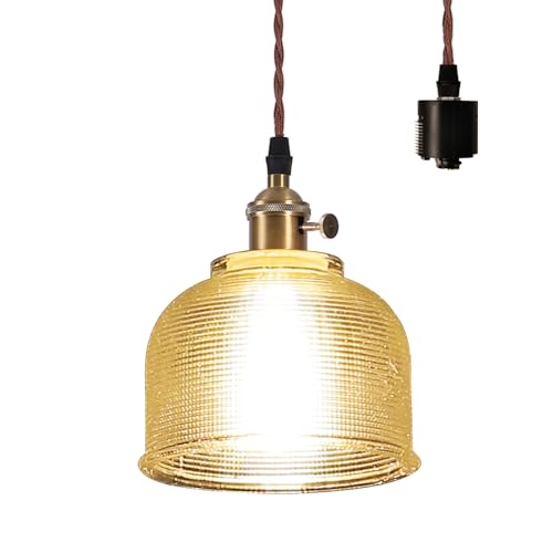 Herischen ガラス ペンダントライト 吊り下げ照明 1灯 銅色ソケット＆ガラス 雰囲気たっぷりな影 ダイニングライト インテリア照明 E26口金 居間 食卓 階段 玄関 キッチン レストラン 電球別売り (ダクトレール式)