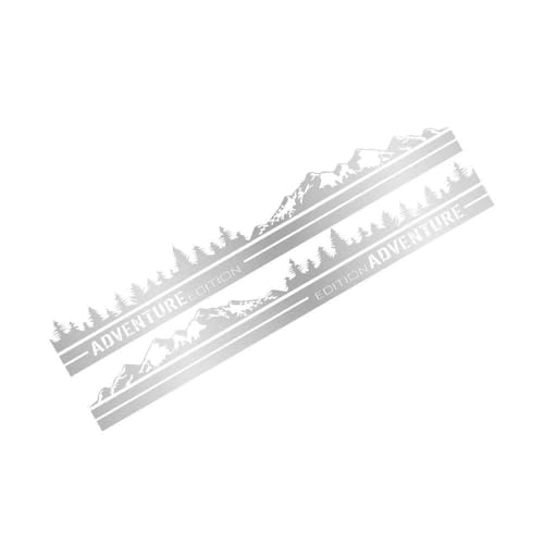 Autocollants de voiture haut de gamme Matt Silver pour Fiat Ducato L4