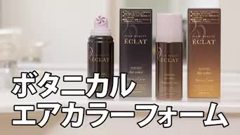 白髪染め HAIR BEAUTE ECLAT HAIR BEAUTE ECLAT 白髪染め リタッチ 全体染め 部分染め ヘアカラー