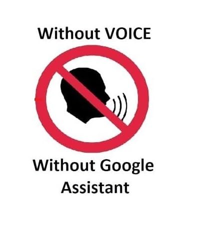 No voice or Google Assistant functionality