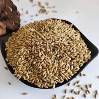 TAIYO PLUSS DISCOVERY Canary Seed Bird Food for Finches, Budgies, Conures, Lovebirds, Cockatiels, (1 kg)
