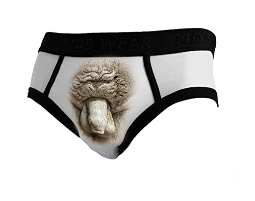 Michelangelo Sculpture of David's Mens Underwear Brief
