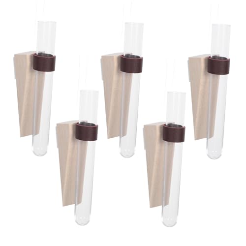 VANZACK 5 Jarrones De Pared para Plantas Verdes Terrarios Colgantes Tubos De Ensayo Hidropónicos De