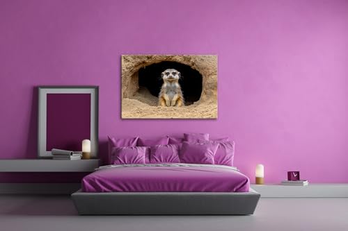 Impression sur toile suricates pour habiller un grand mur nu - 3