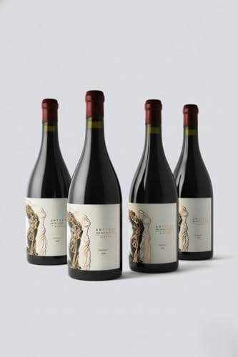 Antiqua de Obergo 2016 | Vino Tinto de Método Ancestral D.O. Somontano | Moristel y Garnacha | Crianza en Tinajas de Barro | Caja de 4 botellas de 750 ml