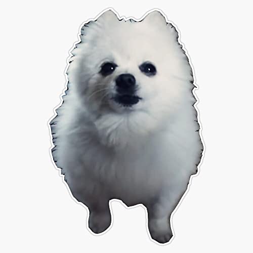 Magnet Gabe The Dog Meme Magnetic Vinyl Decal Reusable 5