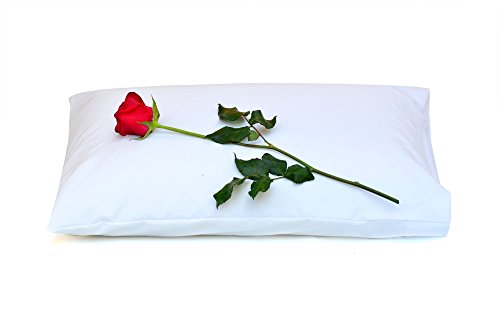 2cloud9 All-Purpose Compact Pillow for Use As Toddler Pillow, Travel Pillow... 100% Natural Latex Rubber Foam. Comes with 100% Cotton Case (White)