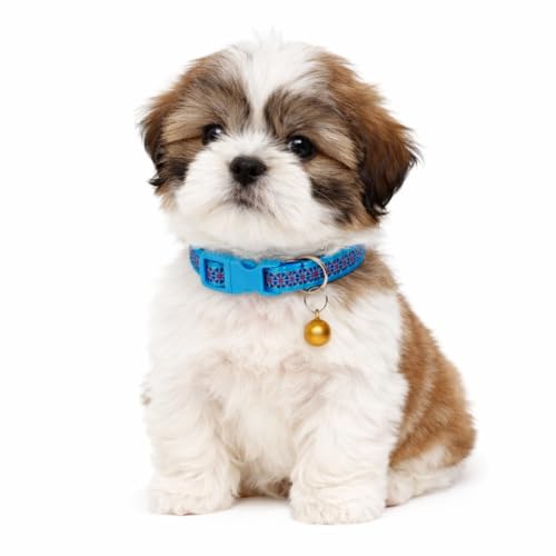 Image of Emily Pets Cute Cat Collar for Girl Boy, Colorful Breakaway Cat Collars with Bell, Adjustable Printed Nylon woth Safety Buckles Kitten Collar (Color May Vsry)