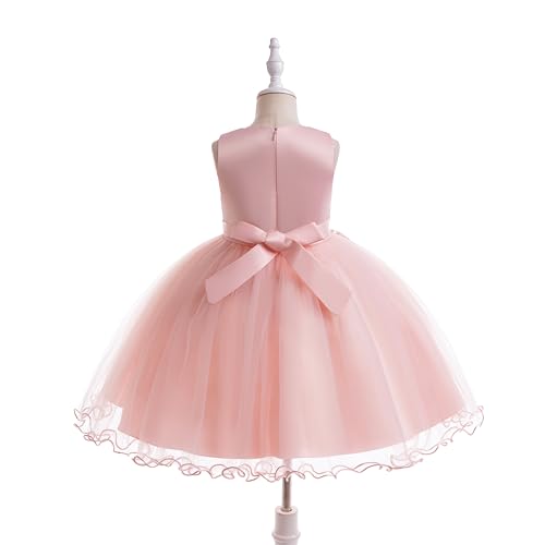 Weileenice Flower Girls Lace Bridesmaid Dress Kids Princess Wedding Prom Pageant Birthday Party Tutu Tulle Dresses3