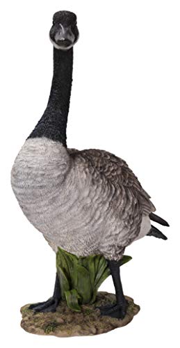 Hi-Line Gift Standing Canada Goose Statue, Grey/Natural #TOP1