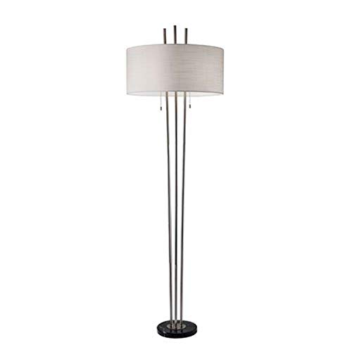 Adesso Home 4073-22 Contemporary Modern Two Light Floor Lamp from Anderson Collection in Pwt, Nckl, B/S, Slvr. Finish, Brushed Steel