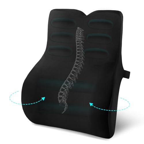 Retazly Coussin Lombaire Ergonomique en Mousse à Mémoire, Coussin Dos pour Bureau, Voiture, Fauteuil, Améliore la Posture et Soulage Les Douleurs Dorsales,...