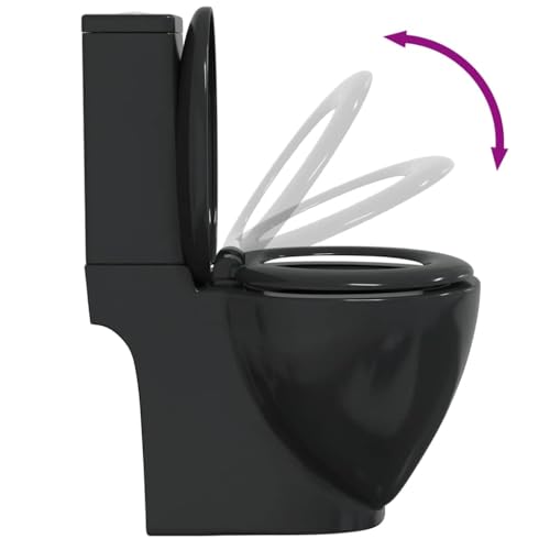 Inodoro negro con salida horizontal y cisterna doble de cerámica para baños modernos 6