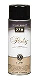 Zar 32807 Ultra Fast Drying Polyurethane Spray, 11-Ounce