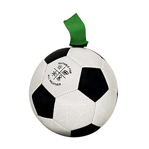 Benboo ybǧ̃TbJ[{[̉ƉÕC^NeBuȌ̃TbJ[{[́AŐ̑n̐ɕ߂̂ɊȒPł