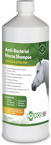 Aqueos Antibacterial, Antiviral, Antifungal Horse Shampoo - for Itchy Skin, Minor-Wounds Cuts Grazes Skin Irritations & Sensitive Skin | Soothing & Deodorising Medicated Shampoo Alternative | 1L