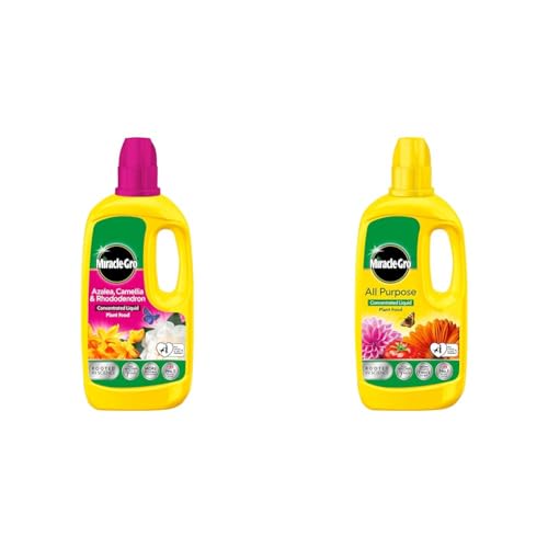 Image of Miracle-Gro 121180 Azelia, Camellia & Rhododendron Concentrated Plant Food, 800 ml, Natural & Miracle Gro All Purpose Concentrated Liquid Plant Food, 800ml