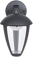 Amazon Basics Outdoor Wall Sconce with Integrated LED - 8.7 x 6.3 x 10.4 Inches, Downward Facing, Black