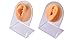 Modèle d'oreille en silicone doux 2PCS modèle de pratique du corps d'oreille modèle de simulation réutilisable Modèle d'affichage d'oreille en silicone ( Taille : Skin Left Ear+Skin Right Ear )