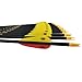 PG1ARCHERY 29.5 Inch Carbon Arrow Targeting Practice Hunting Arrows with Removable Tips for Compound、Recurve Bow (Pack of 12)