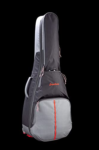 Breedlove �f���b�N�X�M�O�o�b�O �R���p�j�I��