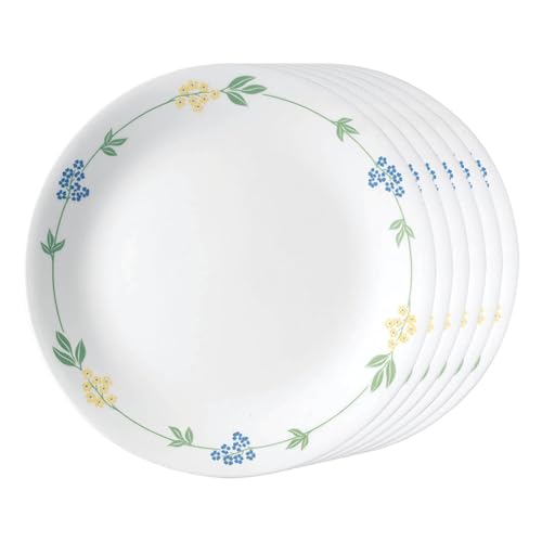 CORELLE Secret Garden Glass Dinner Plate, Lightweight & Durable, Made of Vitrelle Glass, Microwave & Dishwasher Safe, Elegant Crockery for Dining & Gifting - Set of 6 (26 cm, Multicolor)