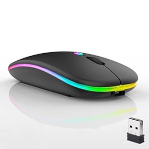 Wireless Bluetooth Mouse,LED Dual Mode Rechargeable Silent Slim Laptop Mouse,Portable(BT5.2+USB Receiver) Dual Mode Computer Mice,for Laptop,Desktop Computer,ipad Tablet,Phone,TV (Black)