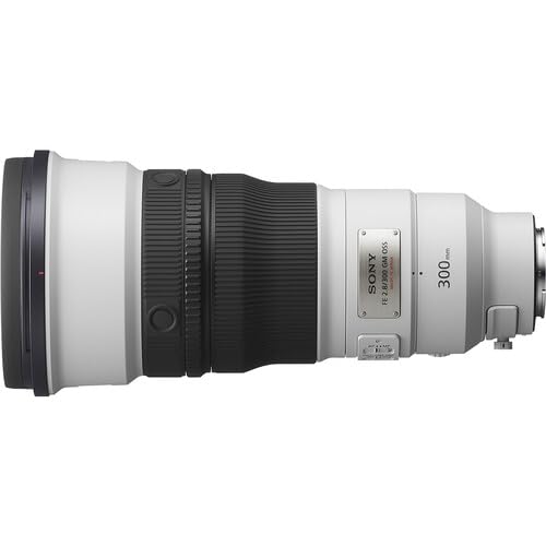 SONY FE 28-300mm G OSS レンズ Amazon.com : Sony FE 300mm f/2.8 GM OSS Lens (Sony E) (SEL300F28GM