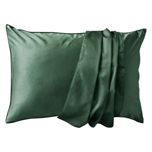 Sleep Tailor ���J�o�[ 43×63cm ���p ���{�� ��100�� 350�{�����x �h�_�j �T�e�� �V���N�̂悤�Ȋ��炩�� �k�� �z�e���d�l �s���[�P�[�X �m�[�u�� (43×63cm���p�J�o�[, �t�H���X�g�O���[��)