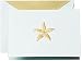Crane & Co. Hand Engraved Starfish Thank You Note - Pack of 10 Notes (CT1420)