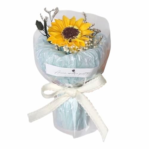 \[vt[ ԃu[P ͂Ȃ ~ju[P ԑ Ђ܂ o ԑ [Yu[P 12cm ȉԑ ỉ lC   w ސE 搶  v`Mtg  j  Ԃ ̓ v[g (Ђ܂-B) [