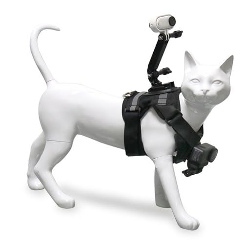 Arnés para gatos con soporte de cámara ideal para camping 7