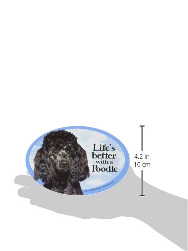 Imán decorativo de gato y perro Poodle negro miniatura 2