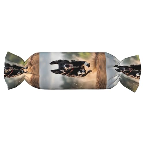 Almohada Espuma Viscoelástica Negro Tamaño Único