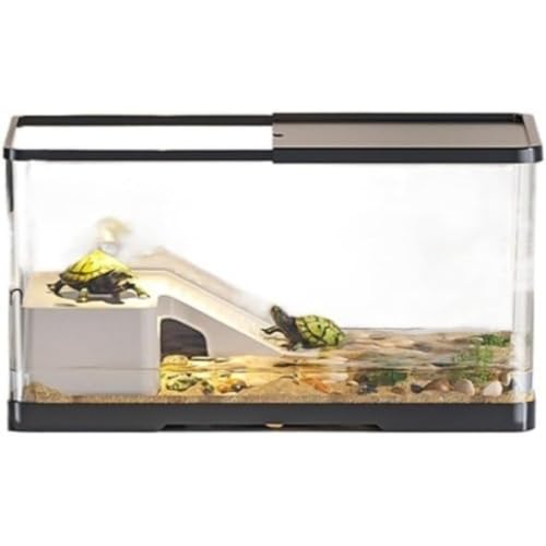 LAJOKING 甠AJCA ybg{bNXA^[g^NAEh~ArtAeʁAAyʁAϋvA360°AS҃ZbgAWƎ[Xy[XtAȒPȐւƕ֗ȋaA঒ނƗނ̐nɓKĂ܂ (B,TCY