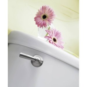 Image of Moen DN6801BN Sage Inspirations Toilet Tank Lever, Brushed Nickel