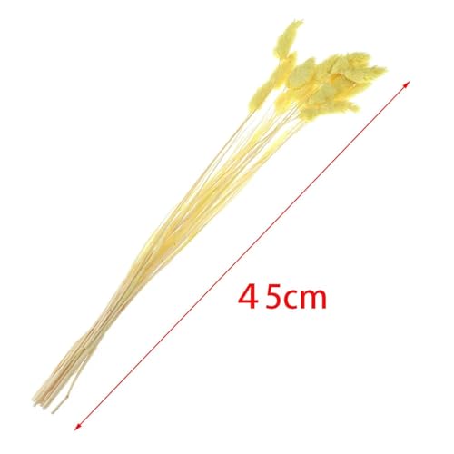 Pampas Grass Decor Tall 30Pcs Flores Secas Decorativas 45 cm miniatura 7