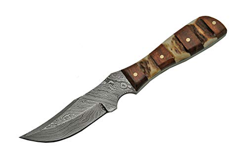 Damascus 6.25" Mini Stag/Wood Handle Hunting Knife With Sheath #TOP1