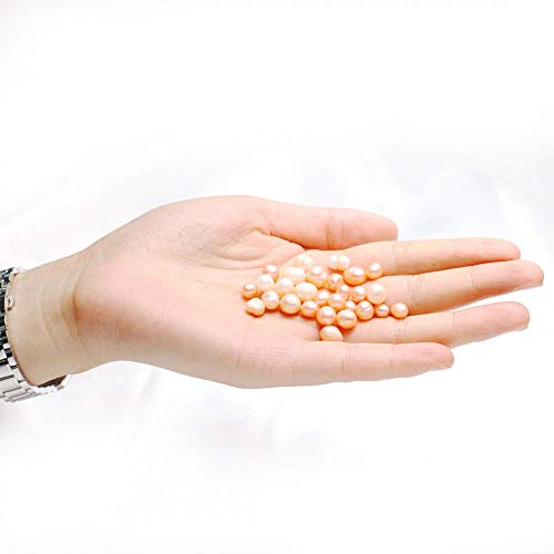 POSHOPS Oyster Pearls,Freshwater Cultured Big Oysters With Pearls Inside Pearl An Oysters Home Decoration Jewelry Making