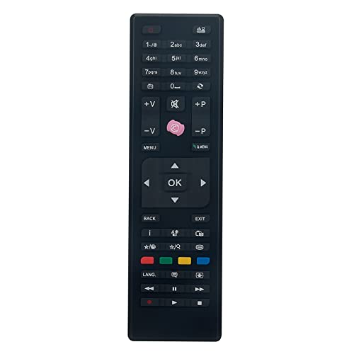 RC4849 RC4875 Replaced Remote Control - Image 3