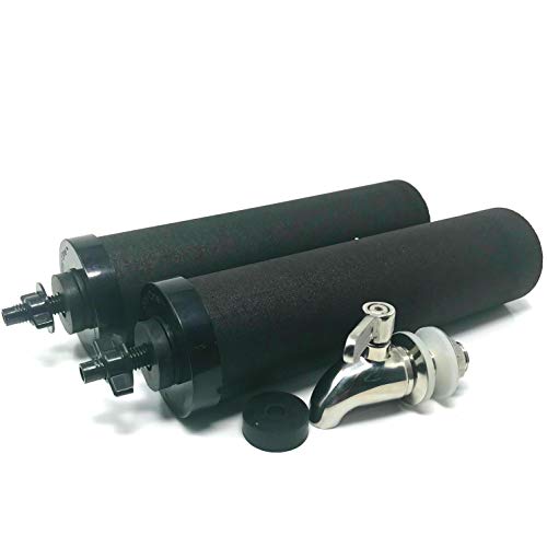 DayOne Today DOT-SS Universal-Spigot High Performance Carbon Block Filters, 8 Piece Set, Stainless Steel Upgrade Bundle